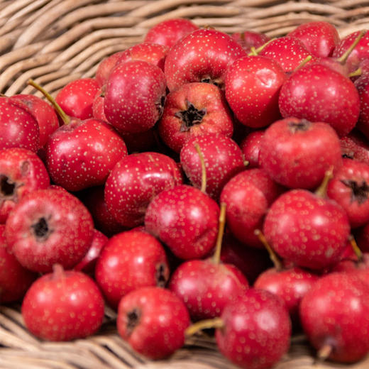 甜红子山楂 | 果香四溢 酸甜生津 细腻绵软 果形玲珑 颗颗精选 商品图6