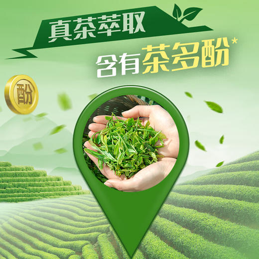 统一绿茶茉莉味茶饮料 500ml 商品图5