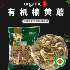 有机榆黄菇100g东北有机干货菌菇特产肉质醇香0添加包邮