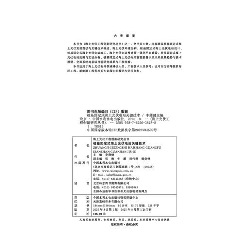 桩基固定式海上光伏电站关键技术（海上光伏工程创新研究丛书） 商品图1