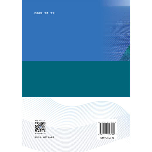 桩基固定式海上光伏电站关键技术（海上光伏工程创新研究丛书） 商品图2