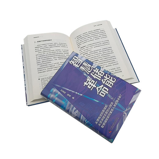 智慧能源革命 商品图1