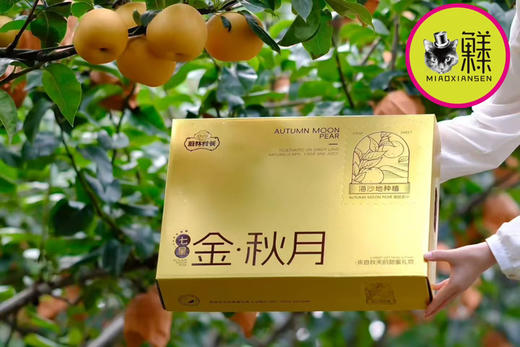【冰糖秋月梨】礼盒7-9枚入约3.5kg 商品图0