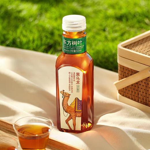 东方树叶黑乌龙500ml 商品图1