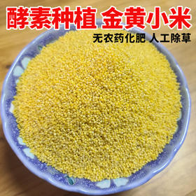 【25年新粮】生态小米 陕西渭南酵素农耕种植5斤装【京东快递送货上门】