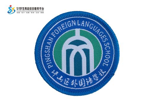 通版深圳市坪山区外国语学校校徽礼服布标姓名贴章可缝烫现货发51 商品图0