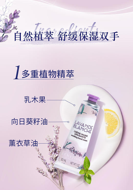 LOCCHC3PCSGIFTSTE001 欧舒丹L'OCCITANE 3支30ml护手霜礼盒长效留香夏季保湿清爽不黏腻女士 【随机款式礼盒+乳木果+月桂/樱花+薰衣草/白熏】 商品图5