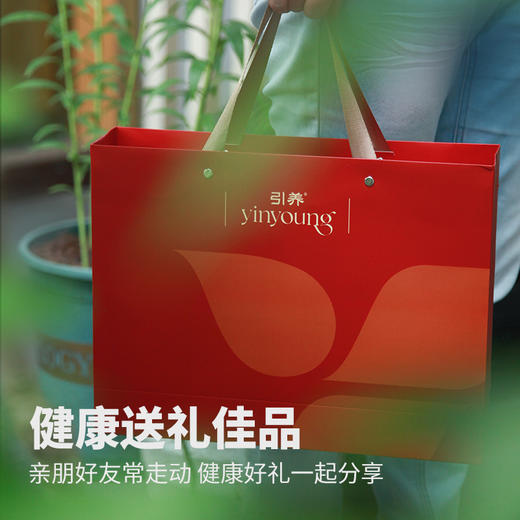 安化多花黄精九制黄精丸10g*30粒/冰碛岩8年仿林下野生种植 商品图4