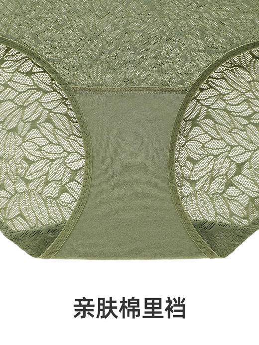 【小清风花影版】遐中腰蕾丝内裤女轻薄速干高弹包臀不夹臀纯棉裆平角裤 商品图4