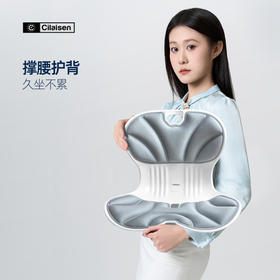 西莱森Cilaisen
护腰坐垫CP-WP2