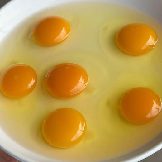 【一周发一次】【竹林散养土鸡蛋】竹林散养刨刨鸡 蛋清浓稠 蛋黄密度结实 个头均匀 商品图3