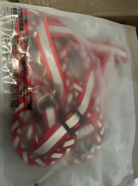 【赠品】宠幸反光背带牵引绳 红色 L