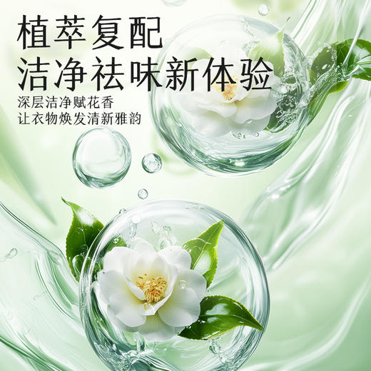 「5.2斤大包装！山茶花香」山茶花洗衣液5.2斤装居家日用实惠装留香衣物清洁工具 商品图1