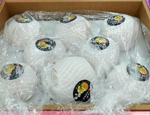 秋月梨8个礼盒装【FY】 商品图1