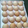 升级40枚/箱，【可生食鸡蛋-黄天鹅鸡蛋】0激素 700多项检测合格 国内首个可生食鸡蛋标准制定者 不含沙门氏菌 商品缩略图2
