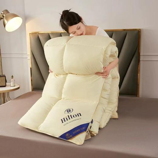 【一夜好眠的秘密🛌】希尔顿逸林同款蚕丝棉被✨四季适用，享受酒店级奢华睡眠❄️☀️匠心工艺不跑棉，舒适保暖不闷热！ 商品图12