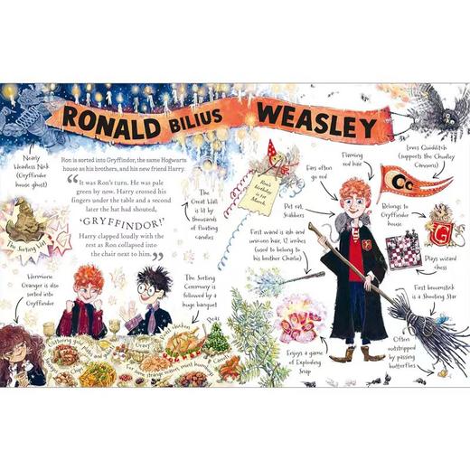 哈利波特小指南 3本精装 英文原版 Pocket Potters Little Guides to The Harry Potter Stories J K Rowling 商品图2