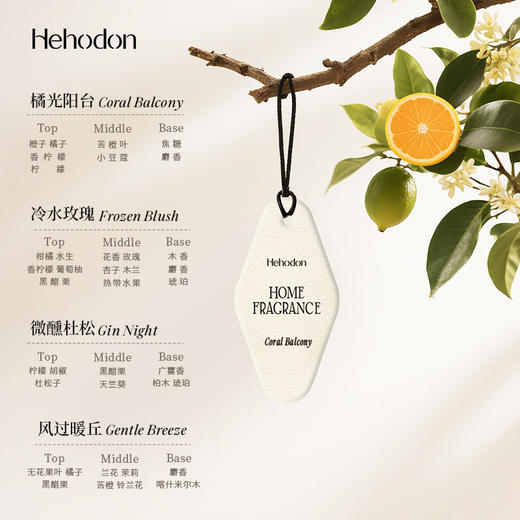 Hehodon香挂车载香氛片衣柜香薰衣橱香片卧室香卡内持久淡香 商品图4