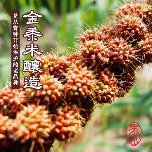 陈酿黄乳坛装 丨 窑洞窖藏 口感醇香 商品图2