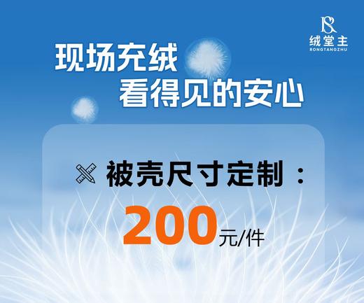 10楼 绒堂主 贝壳尺寸定制 200/件 商品图0