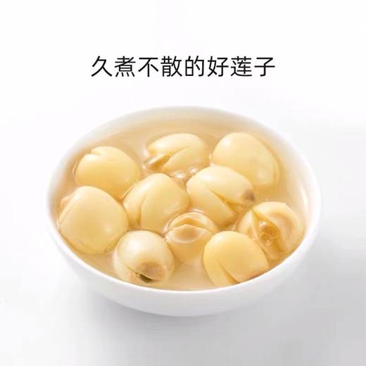 0598【国企严选，山海食材】建宁文鑫通心白莲300g 商品图4