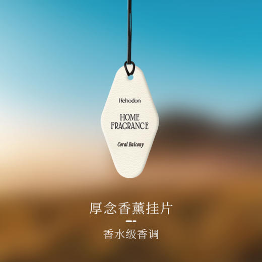 Hehodon香挂车载香氛片衣柜香薰衣橱香片卧室香卡内持久淡香 商品图2
