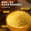 【色泽金黄】草牧里 敖汉小米 2.5kg/袋 香浓软糯易煮易熟（海南、青海、云南、新疆、西藏发圆通快递 商品缩略图2