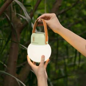 多功能驱蚊露营灯