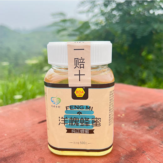 包德安 洋槐蜂蜜500g*1瓶 商品图1