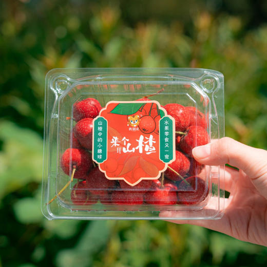 甜红子山楂 | 果香四溢 酸甜生津 细腻绵软 果形玲珑 颗颗精选 商品图8