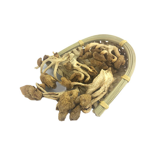 有机榆黄菇100g东北有机干货菌菇特产肉质醇香0添加包邮 商品图3