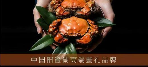 平望X老喫客大闸蟹1988型 商品图1