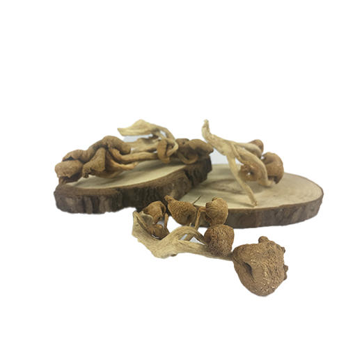 有机榆黄菇100g东北有机干货菌菇特产肉质醇香0添加包邮 商品图4