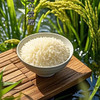 25年新米上市，中国地理标识产品，正宗核心产区五常稻花香米，谷粒现磨，米中贵族，皇家贡品有机认证，五常有机稻花香大米 原生态 不抛光 香味绵长 新米现磨  商品缩略图3