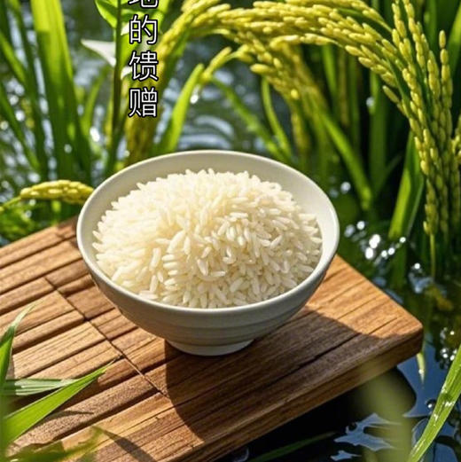 25年新米上市，中国地理标识产品，正宗核心产区五常稻花香米，谷粒现磨，米中贵族，皇家贡品有机认证，五常有机稻花香大米 原生态 不抛光 香味绵长 新米现磨  商品图3