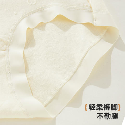 ALDOLA/雅黛俪内裤女小清新女生三角裤桑蚕丝裆性感蕾丝大码短裤 商品图9