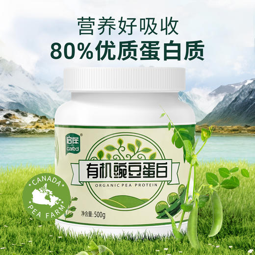 启伴有机豌豆蛋白粉 素食植物蛋白无麸质冲饮500g/罐 商品图1