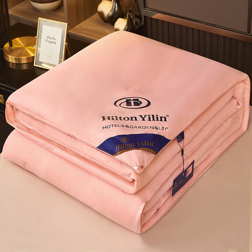 【一夜好眠的秘密🛌】希尔顿逸林同款蚕丝棉被✨四季适用，享受酒店级奢华睡眠❄️☀️匠心工艺不跑棉，舒适保暖不闷热！ 商品图7