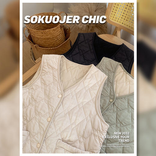 高品质羽绒棉马甲女秋冬韩版保暖立领无袖坎肩时尚外穿马夹外套 商品图1