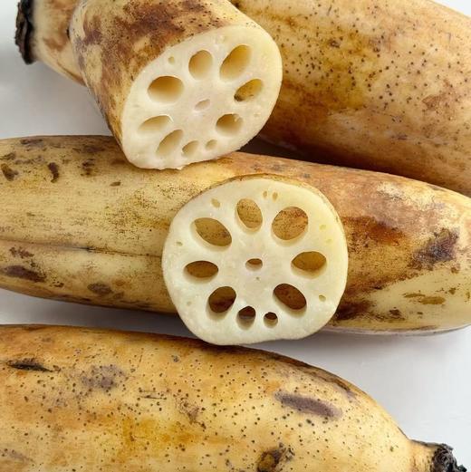 【斌哥优选】湖北洪湖粉藕。现挖新鲜带泥莲藕，农产品地理标志。粉的拉丝，推荐高压锅煲。5斤5-7节。 商品图0