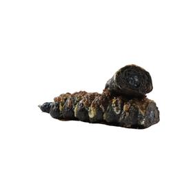 深海墨鱼芝士卷