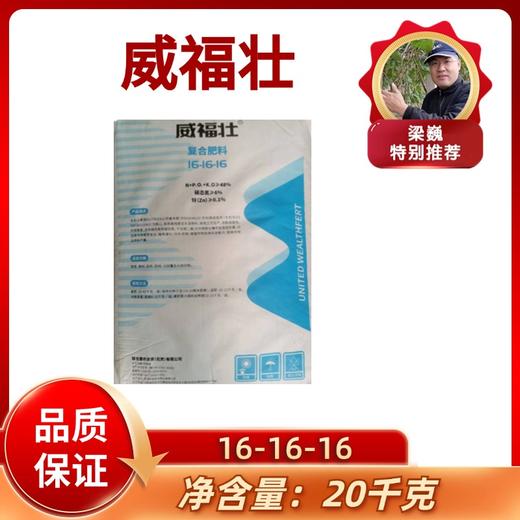 威福壮16-16-16 商品图0