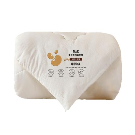 【软软糯糯！👶母婴级安心之选】甄选李官奇大豆纤维填充的A类母婴被子 ，冬季保暖必备❄️3A级抗菌+天然大豆蛋白，给家人贴心的呵护💝 商品图4