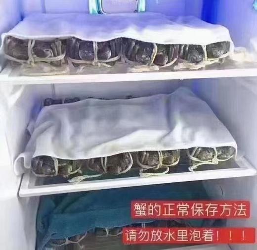 平望X老喫客大闸蟹1988型 商品图11