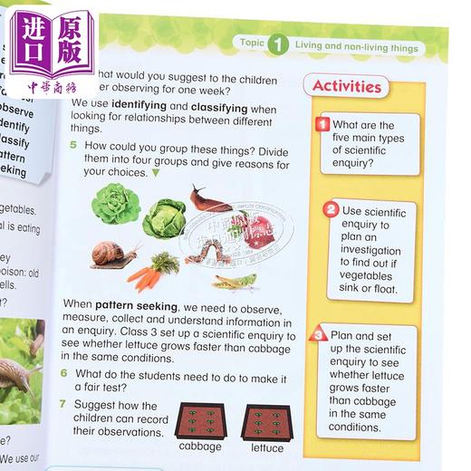 【中商原版】Collins International Primary Science Students Book 3 柯林斯国际小学科学学生书3 英文原版剑桥生物化学物理 商品图3