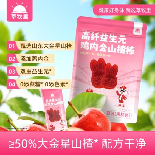 【儿童食品食疗用户不可食用】草牧里 高纤益生元鸡内金山楂棒 9支/袋 酸甜软糯配方干净 商品图0