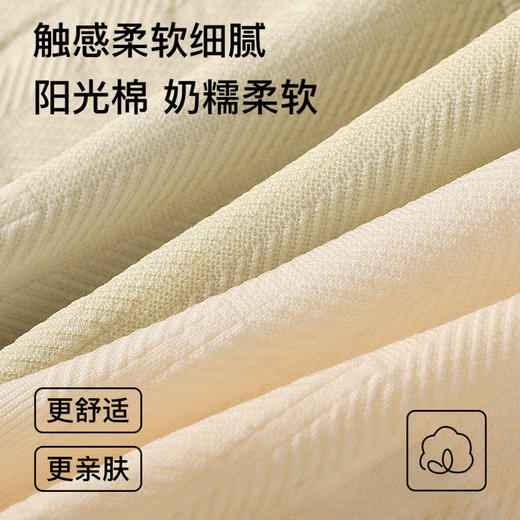 云梦星语 3条装(VIP)【高腰收腹 10A抑菌纯棉裆】3条透气无痕收小肚子女士内裤 商品图2