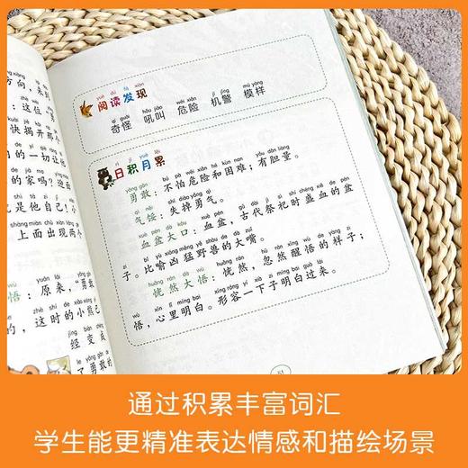小红帆 商品图1