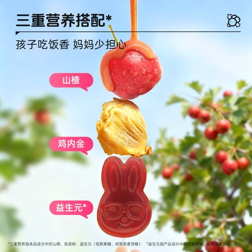 【儿童食品食疗用户不可食用】草牧里 高纤益生元鸡内金山楂棒 9支/袋 酸甜软糯配方干净 商品图2