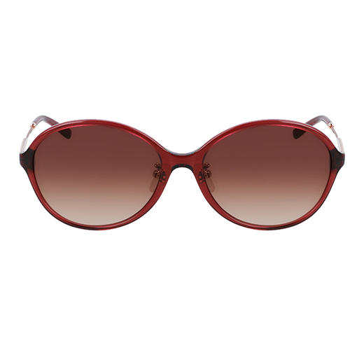 7883901132823 卡尔文克雷恩Calvin Klein 【商场同款】CK新品欧美椭圆时尚大框优雅复古休闲太阳镜墨镜女 商品图0